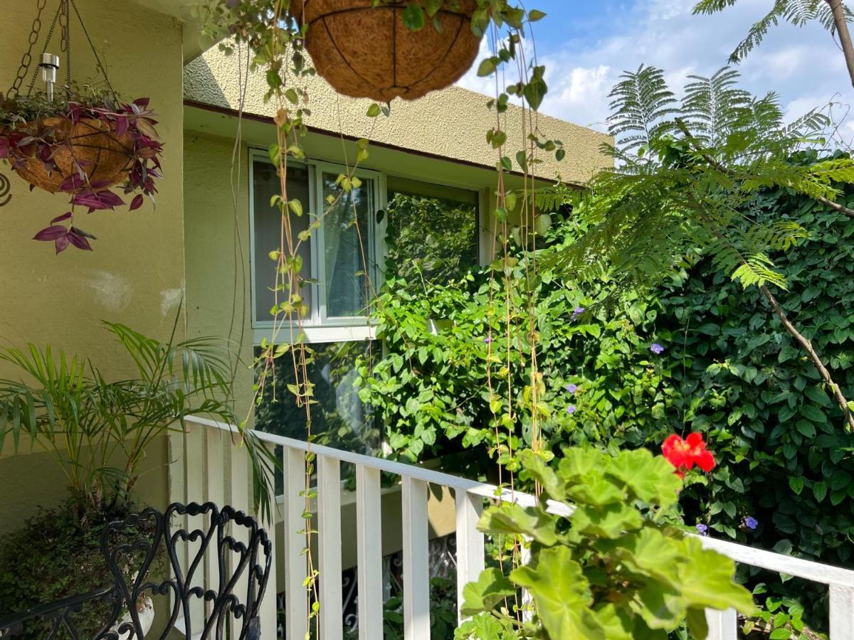 Dickinson Guest House, Guadalajara Expo المظهر الخارجي الصورة